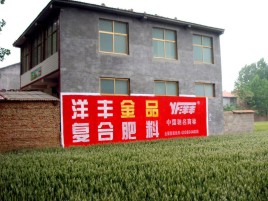 广昌如何让墙体广告展现最大化效果