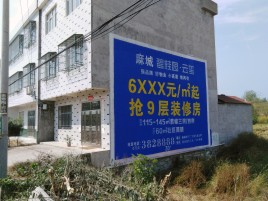 广昌墙体广告质量分析